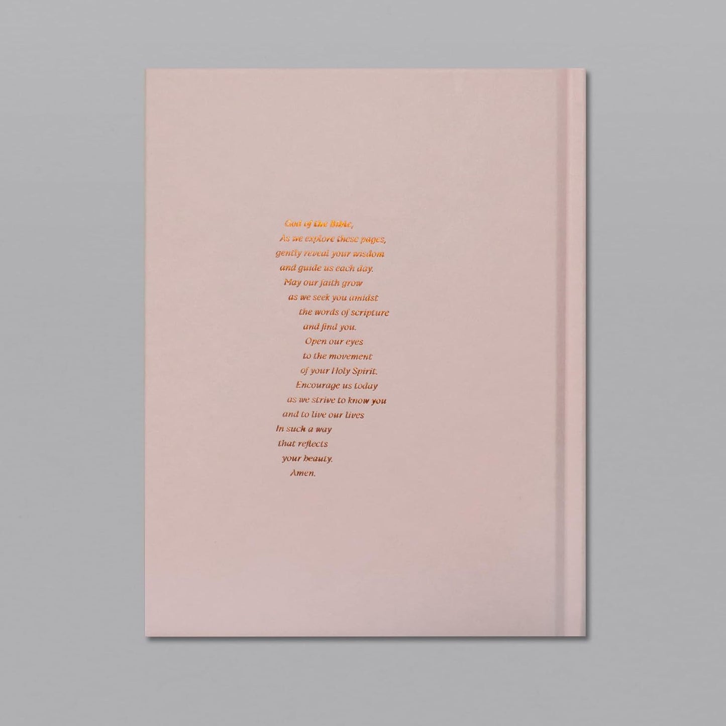 Women's study of the Bible